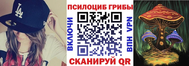 Галлюциногенные грибы Magic Shrooms сколько стоит Инсар